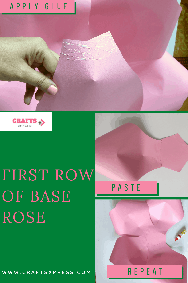 First row of the petals of the giant rose