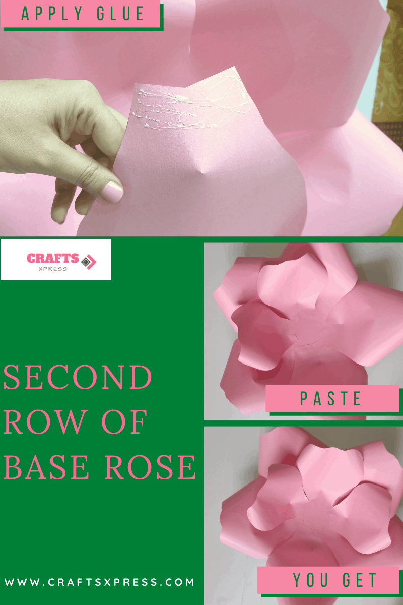 Second row of the petals of the giant rose