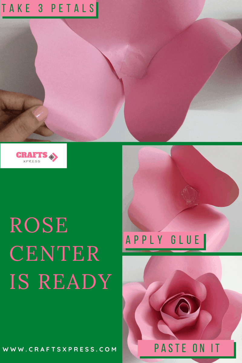 Rose center of giant rose