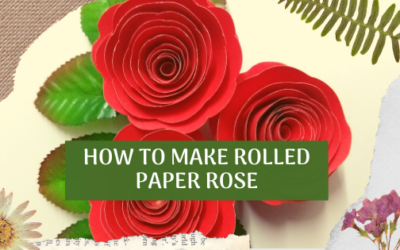 How To Make Rolled Paper Roses | Step By Step Pictures
