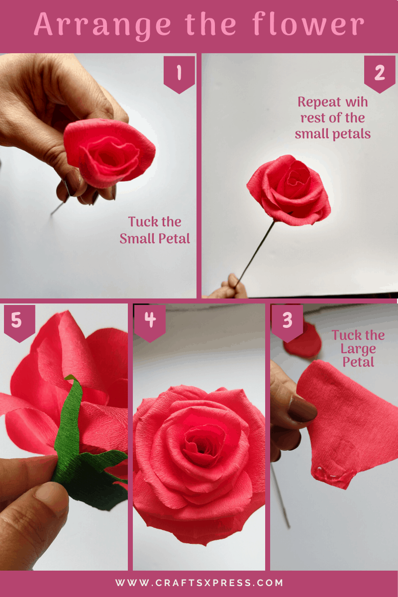 Arrange the leaves to the paper rose with stem
