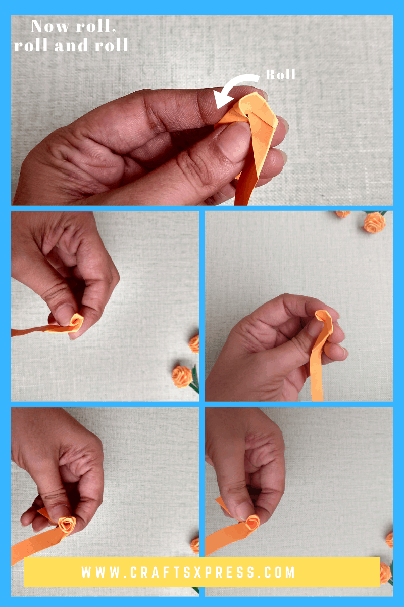 Roll the folded strip to make small rose