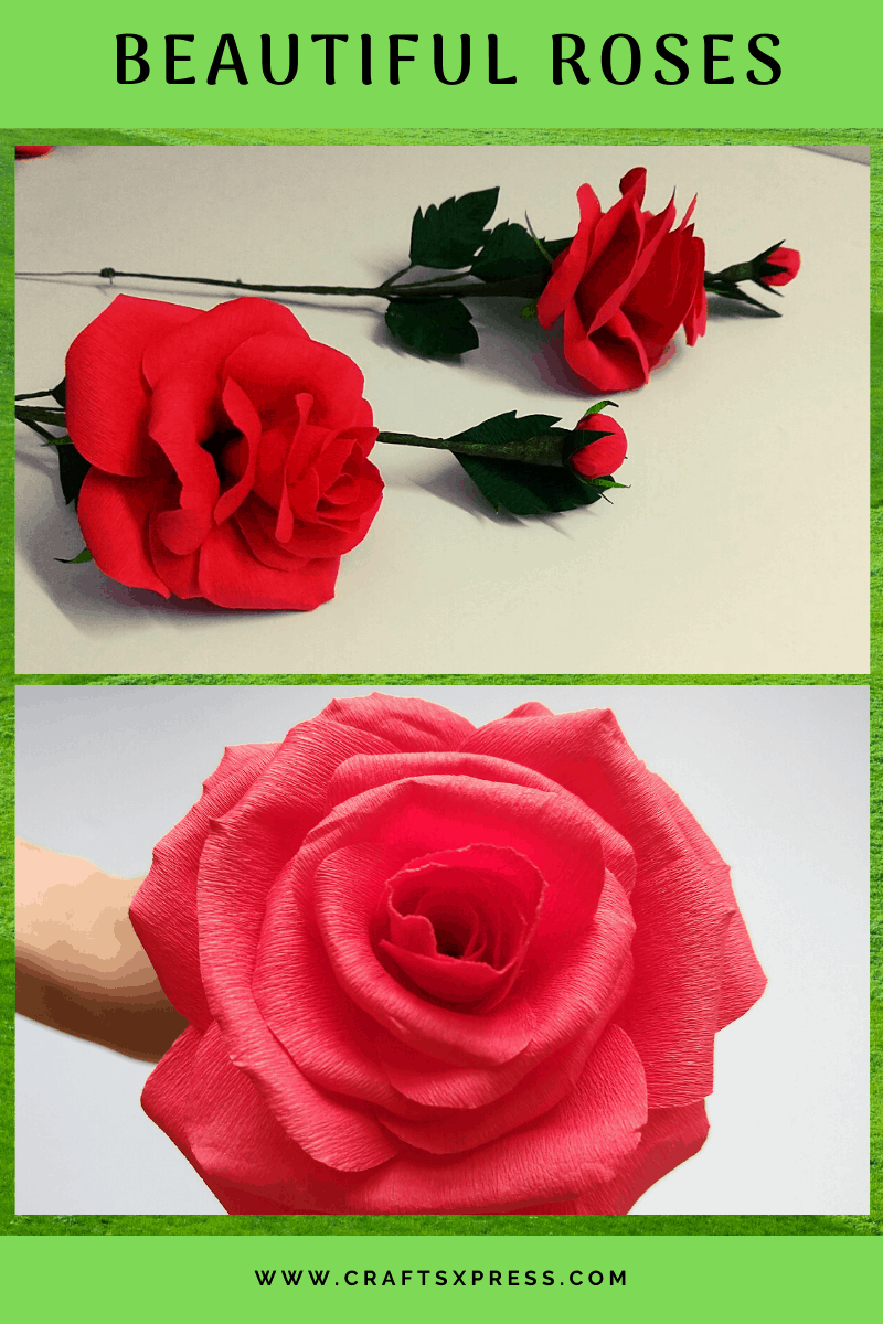 beautiful paper roses