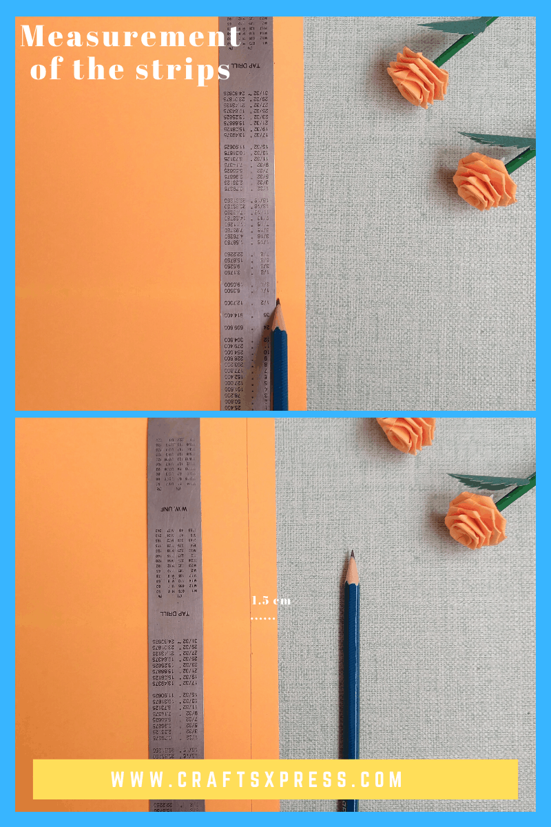 Measurement of the strips for small paper rose