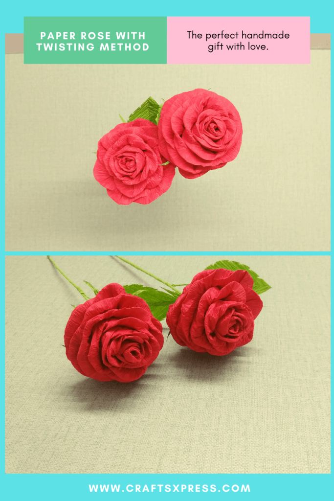 beautiful paper roses with twisting method