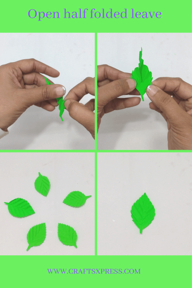 basic paper leave with veins